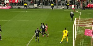 bay fch 2.gif