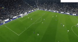 juv int 33.gif