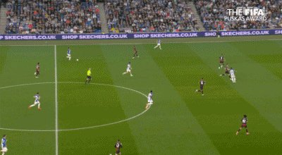 恩西索.gif
