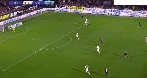 sal juv 39.gif