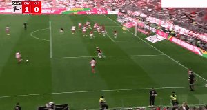 bay koe 7.gif