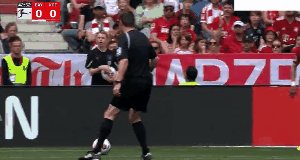 bay koe 5.gif