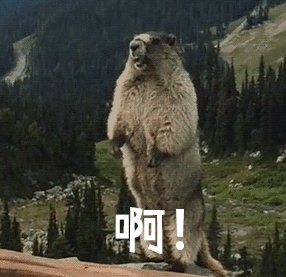 ceeb653ely8hbtldaadseg207y07pqlz.gif