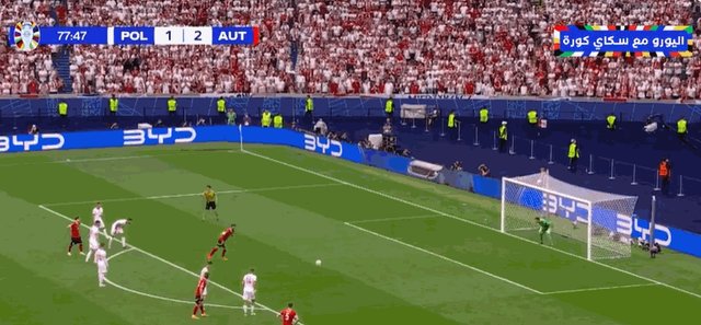 1-3阿瑙托维奇.gif