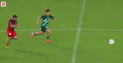 巴尔加斯.gif