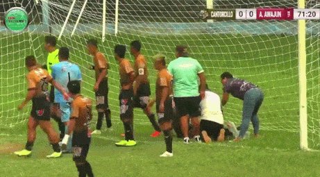 GIF 2024-8-21 11-43-35.gif