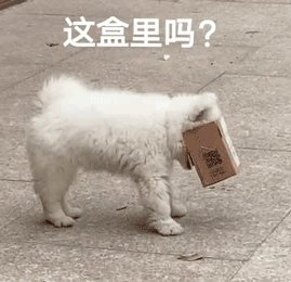 合理.gif