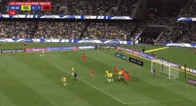 IMG_2811.gif