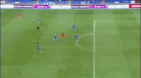 巴尔加斯3.gif