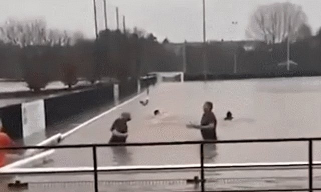 水球.gif