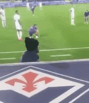 fiorentina.gif