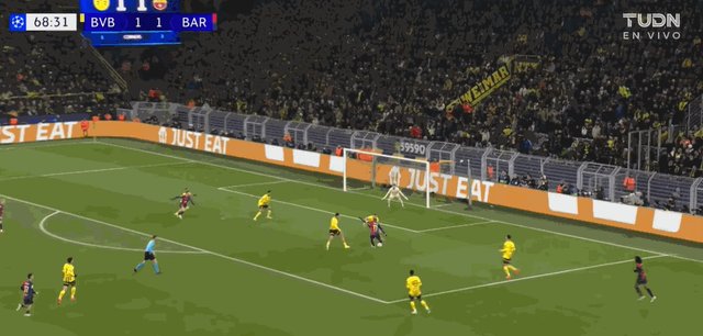 奥尔莫.gif