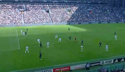 5.gif