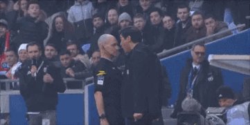 fengsaika.gif