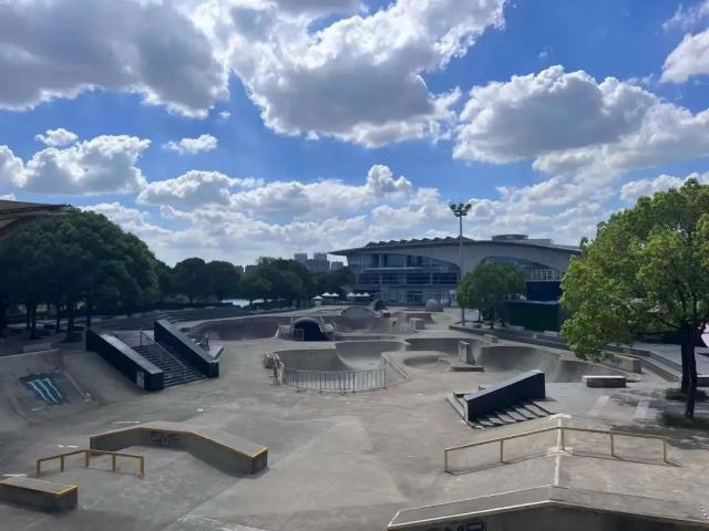 336.jpg