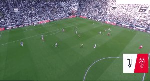 juv mon 33.gif