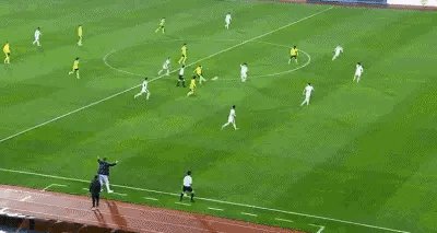 IMG_2256.gif
