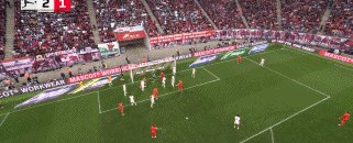 牛仁62.gif