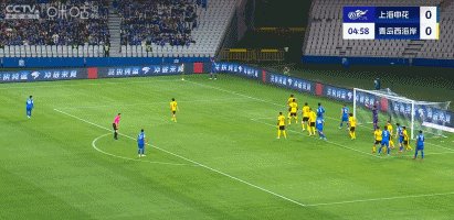 申花.gif