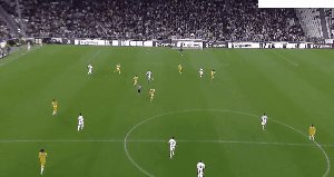 juv udi 88.gif