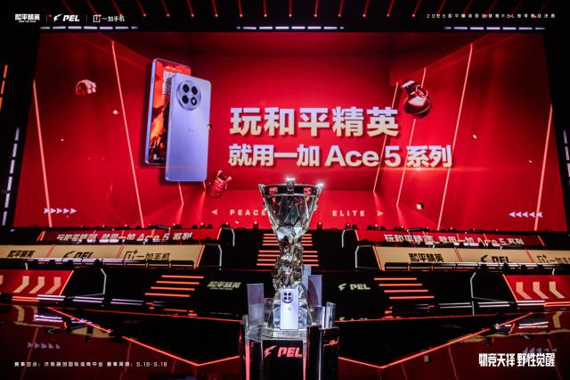 图片 11.png