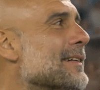 瓜泪2.gif