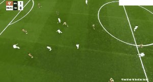 rma rso 5.gif
