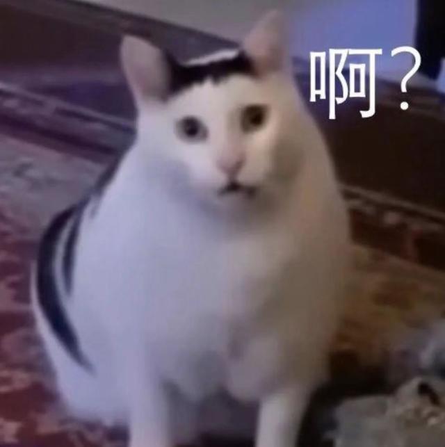微信图片_20240920172619.jpg