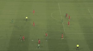 沙特19.gif