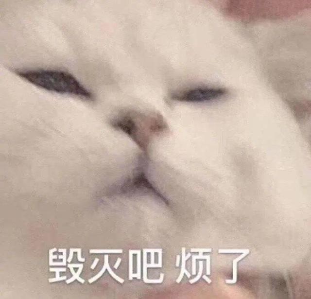 006cSBLKly1gwvupelqotj30iw0i6gmd.jpg