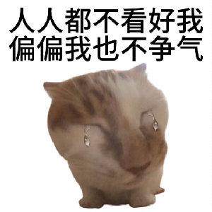 006APoFYly8hwuuqtb8sbj308c08c3yq.jpg