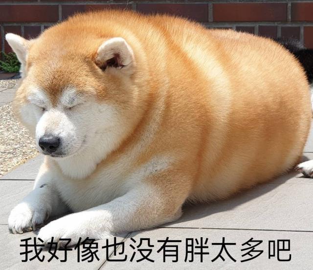 006GJQvhly1g7qk0sjwrmj30u00pu7g2.jpg