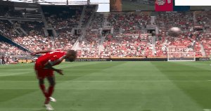 bay akl 06.gif