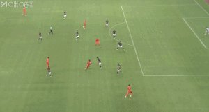 奥斯卡.gif