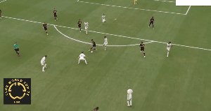 fla bay 73.gif