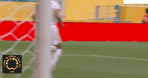 fla bay 55.gif