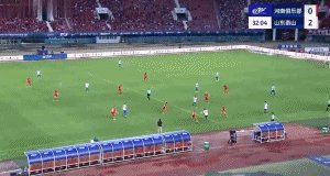 泽卡2.gif