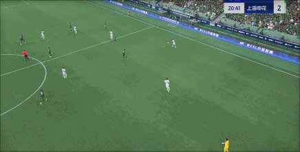 IMG_2312.gif