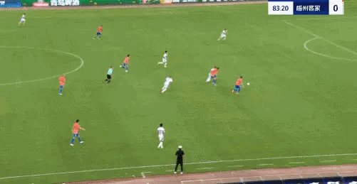 IMG_7071.gif