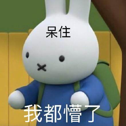 6a2a7a61ly1gtd7qulxfzj20rs0rsn1d.jpg