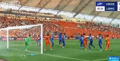 6.gif