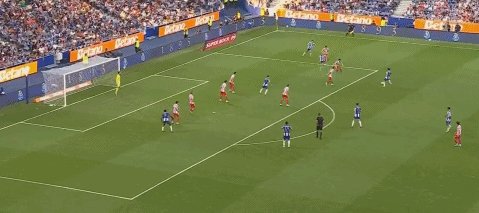 1754266942492059655.gif