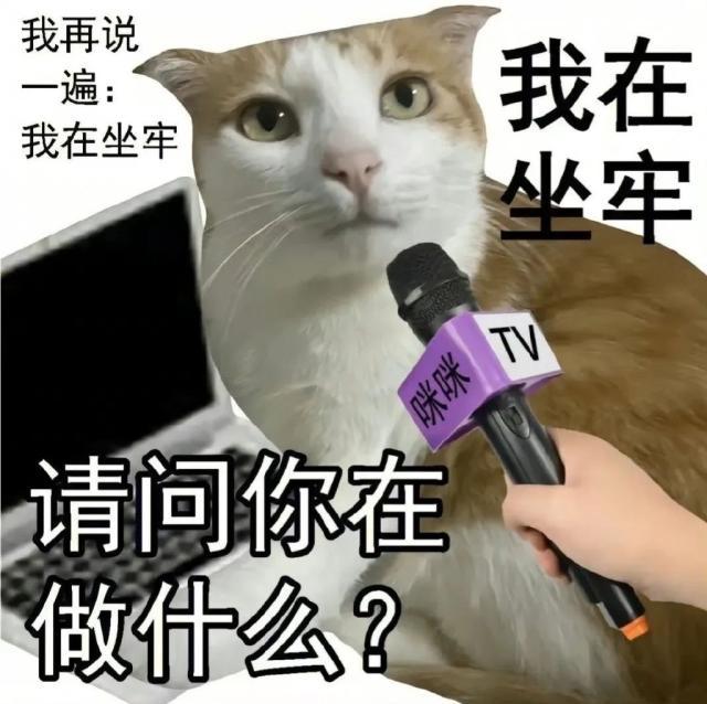a007f1e0ly1hbhu4exdo1j20ts0tp78f.jpg