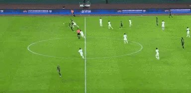 IMG_3556.gif