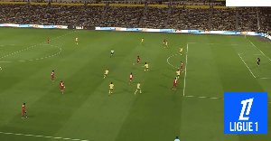 psg 3.gif