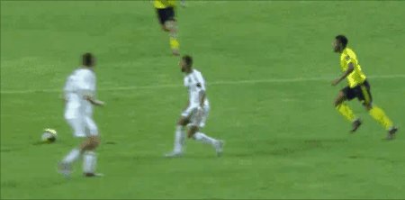 nas 21.gif