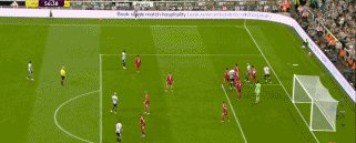牛莉57.gif