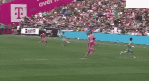 sea mia 4.gif