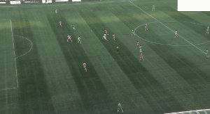sea mia 1.gif