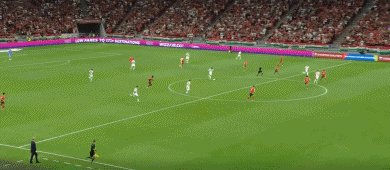 匈葡21.gif